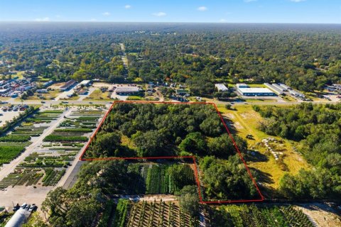 Land in Spring Hill, Florida № 2214832 - photo 20