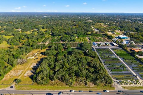 Land in Spring Hill, Florida № 2214832 - photo 12