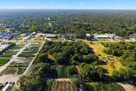 Land in Spring Hill, Florida № 2214832 - photo 4