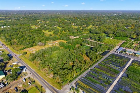 Land in Spring Hill, Florida № 2214832 - photo 9