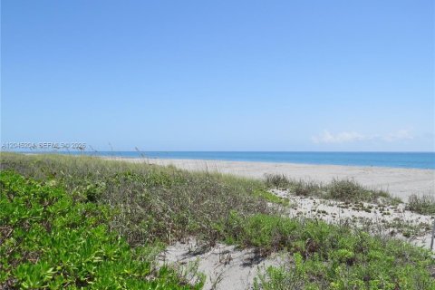House in Jupiter Island, Florida 3 bedrooms, 247.12 sq.m. № 2279491 - photo 26