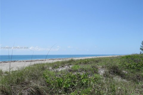 House in Jupiter Island, Florida 3 bedrooms, 247.12 sq.m. № 2279491 - photo 28