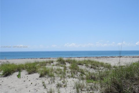House in Jupiter Island, Florida 3 bedrooms, 247.12 sq.m. № 2279491 - photo 27