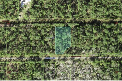Terrain à vendre à Indian lake estates, Floride № 2160871 - photo 4