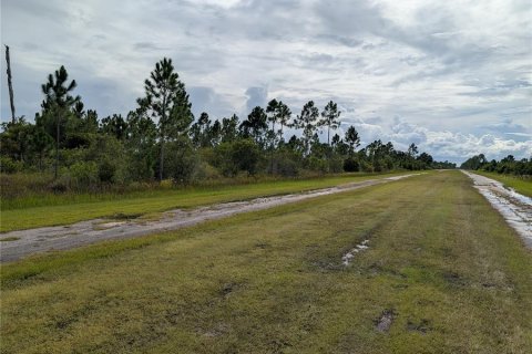 Terrain à Indian lake estates, Floride № 2160871