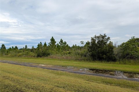 Terrain à vendre à Indian lake estates, Floride № 2160871 - photo 5