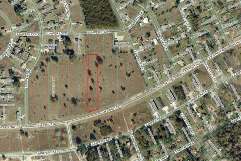 Terreno en Ocala, Florida № 2098593