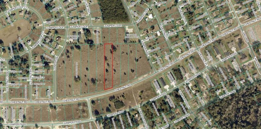 Terreno en Ocala, Florida № 2098593