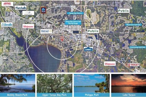 Land in Oldsmar, Florida № 302053 - photo 17
