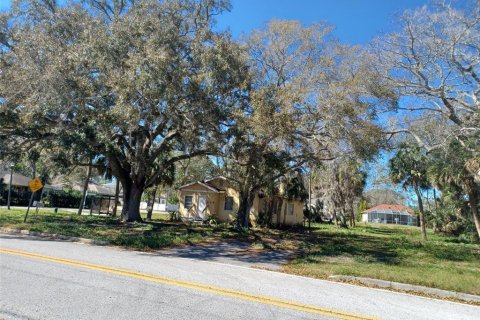 Land in Oldsmar, Florida № 302053 - photo 9