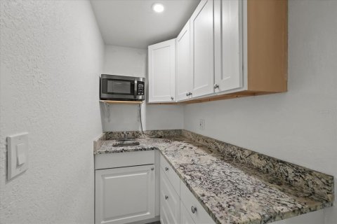 House in Tampa, Florida 3 bedrooms, 132.66 sq.m. № 1819620 - photo 23