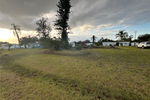 Land in Punta Gorda, Florida № 1675965 - photo 3