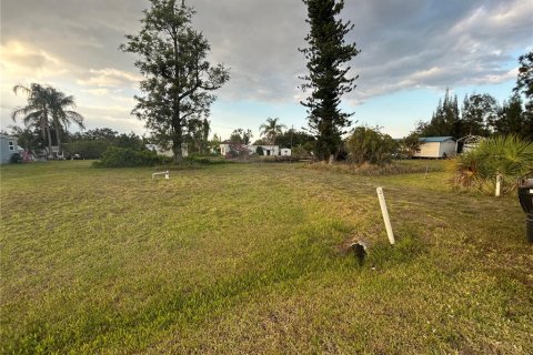 Land in Punta Gorda, Florida № 1675965 - photo 2