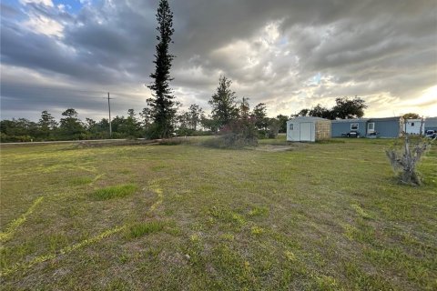 Land in Punta Gorda, Florida № 1675965 - photo 5