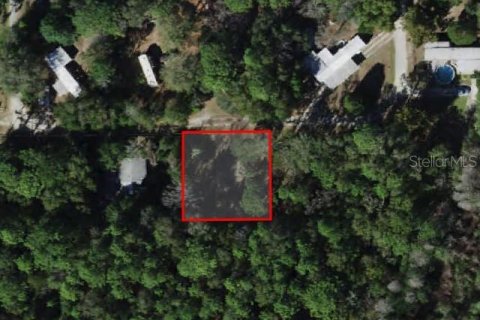 Land in Crystal River, Florida № 2158740