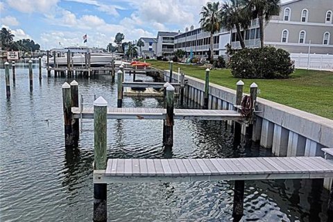 Copropriété à vendre à Tierra Verde, Floride: 2 chambres, 103.12 m2 № 2100679 - photo 28