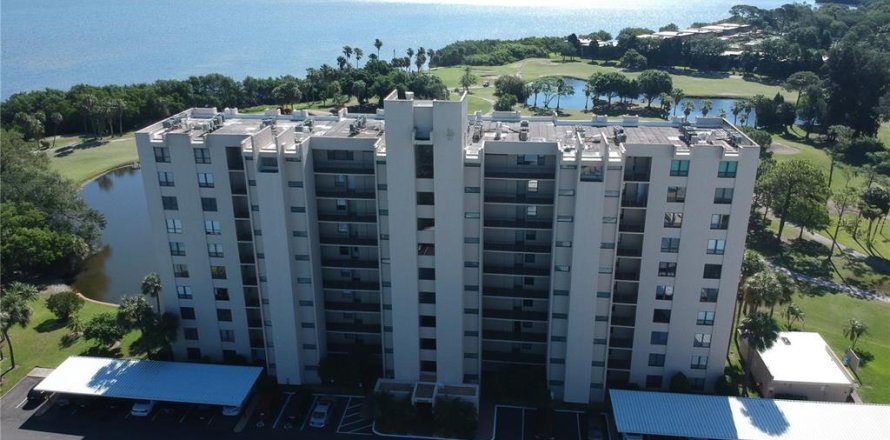 Condo à Clearwater, Floride, 2 chambres № 1650316