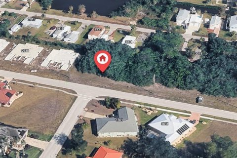 Terrain à Punta Gorda, Floride № 2156479