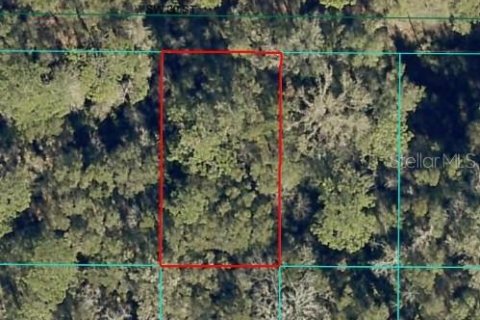 Land in Ocala, Florida № 2160636 - photo 2