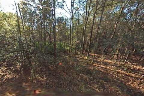 Land in Ocala, Florida № 2160636