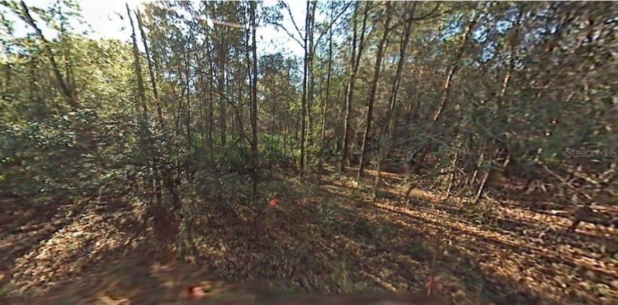 Land in Ocala, Florida № 2160636