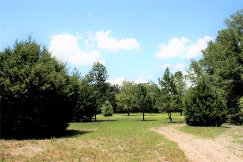 Terreno en venta en Williston, Florida № 549996 - foto 1