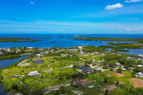 Terreno en venta en Terra Ceia, Florida № 1895193 - foto 7