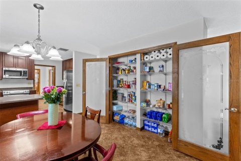 Villa ou maison à vendre à DeLand, Floride: 3 chambres, 197.32 m2 № 2415124 - photo 24