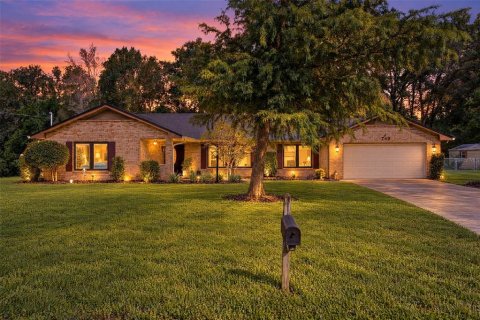 Villa ou maison à DeLand, Floride 3 chambres, 197.32 m2 № 2415124