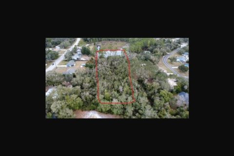 Land in DeLand, Florida № 2143552 - photo 5
