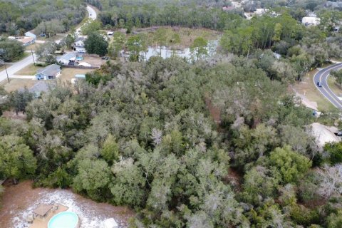 Land in DeLand, Florida № 2143552
