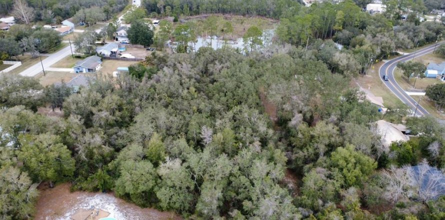 Land in DeLand, Florida № 2143552