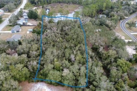 Land in DeLand, Florida № 2143552 - photo 3
