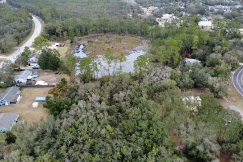 Land in DeLand, Florida № 2143552 - photo 2