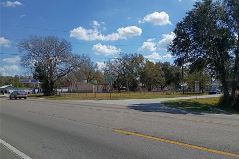 Terreno en Intercession City, Florida № 2118277