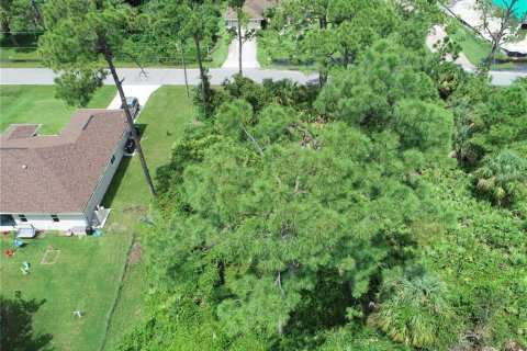 Land in North Port, Florida № 2165571 - photo 5