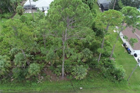 Land in North Port, Florida № 2165571 - photo 4