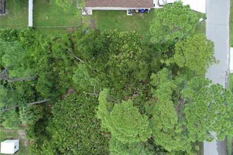 Land in North Port, Florida № 2165571 - photo 6