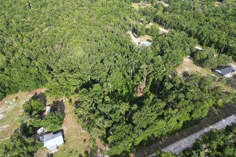 Land in Branford, Florida № 1844982 - photo 4