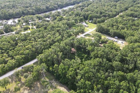 Land in Branford, Florida № 1844982 - photo 5