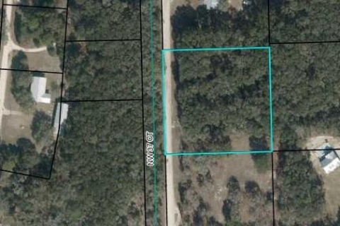 Land in Branford, Florida № 1844982 - photo 1