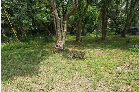 Terrain à Tampa, Floride № 2104231