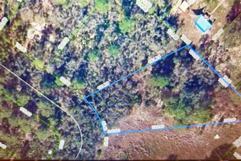 Land in Lake Placid, Florida № 2204640