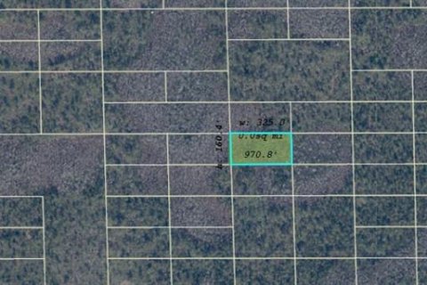 Land in Orlando, Florida № 2233569 - photo 3
