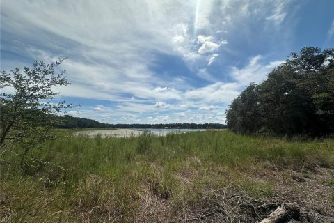 Terreno en venta en Dunnellon, Florida № 1908611 - foto 3