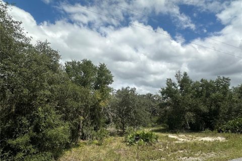 Terreno en venta en Dunnellon, Florida № 1908611 - foto 6