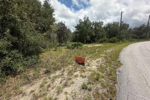 Terreno en venta en Dunnellon, Florida № 1908611 - foto 7