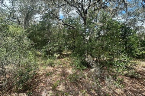 Terreno en venta en Dunnellon, Florida № 1908611 - foto 8