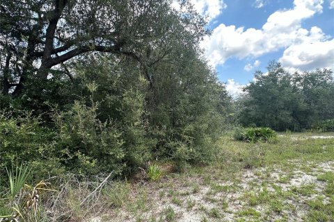 Terreno en venta en Dunnellon, Florida № 1908611 - foto 10