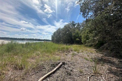 Terreno en venta en Dunnellon, Florida № 1908611 - foto 4